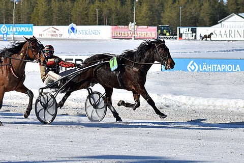 BWY Gaia piti Tuomas Pakkasen kannustamana kirihevoset aisoissa Nikulan maalisuoralla.