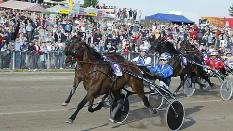 Inspiration Ride valloitti Suur-Hollola-ajon ensi kerran vuonna 2004 ennen Stefano Puebloa ja Mombasaa. Orin urallaan tienaamat 538 232 euroa kertovat oleellisen hevosen kyvyistä.