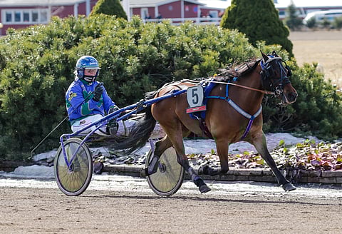 Rodden ja Pinja Iltanen.