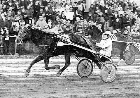 Vuonna 1979 sankka yleisöjoukko oli tullut seuraamaan kuningas Vekseliä, mutta voiton veikin Posti-Neiti ja Veijo Heiskanen. V.T. Ajatus kiri toiseksi.