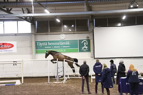 Oripäivien hohto pitäisi saada takaisin.