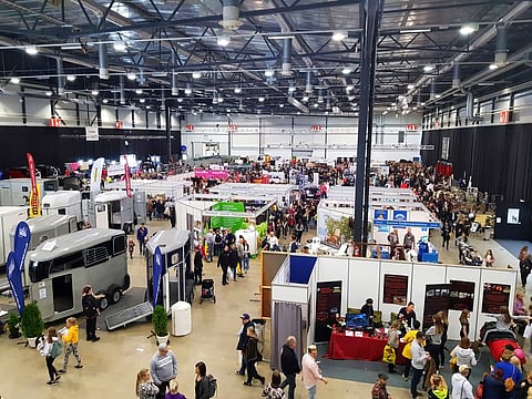 Hevoset-messut tulevat viikonloppuna. 