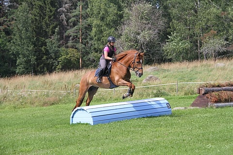 Kenttäratsastukselle on imua. Alkuun vaikka kotona