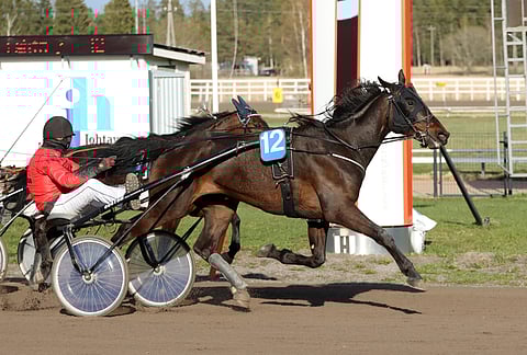 Janne Ranta-Krenkku ohjasti Disco Infernon ykkösenä maaliin Turun perjantairaveissa.