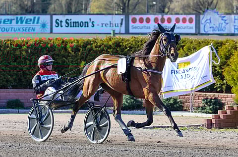 Shackhill´s Twister kisasi viime keväänä Finlandia-ajossa.