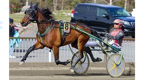 Lämminveriravuri Mickey Match rattaillaan Santtu Raitala.