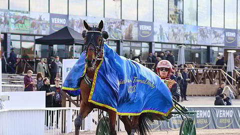 Over My Shoulder kiri Santtu Raitalan ajamana Tammaderbyn ykköseksi kesäkuussa Vermosssa.