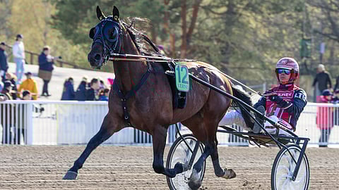 Mr Stahl teki 5-vuotiskautenaan lukuisia huippusuorituksia.