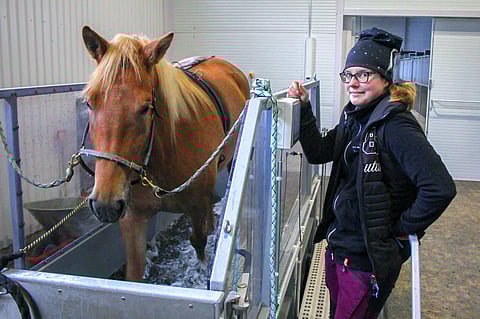 Työkseen Minna Rampa kuntouttaa hevosia.