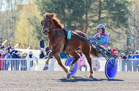 M.A. Piste vuosi sitten toukokuussa Vermossa. 