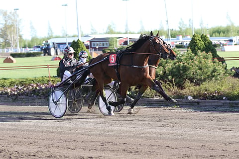 Valmentajansa Markku Niemisen ajama Crazy For You kilpailee toisessa Toto5-kohteessa. 