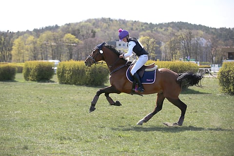 Johdossa alusta loppuun. 