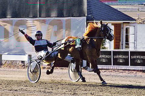 Teuvo Nikulainen tuulettaa Vienan Myrskyn kyydissä. Talli vahvistui viikonloppuna Leijan Liidolla.