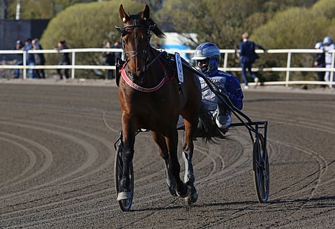 Hierro Boko matkaa Osloon.