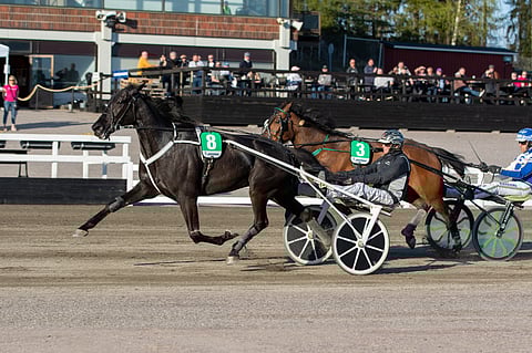Truedream A.F. nappasi keulapaikalta vakuuttavan voiton. Hades oli sen selästä hyvä toinen.