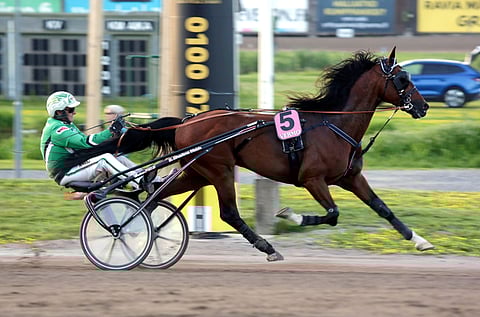 Don Williams voitti kilpaurallaan 28 kertaa ja ja tienasi 296 283 euroa.