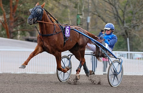 Rock Vice siirtyi omistajanvaihdoksen myötä Mauri Jaaran valmennukseen.