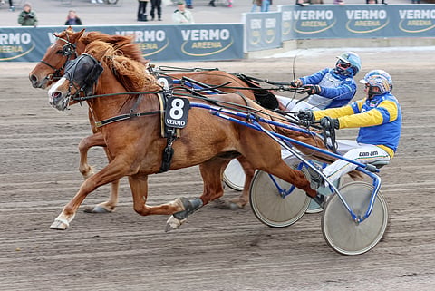 Terho Rautiaisen Tatuari on tällä erää viimeisen Euronelkun toinen tukipilari.