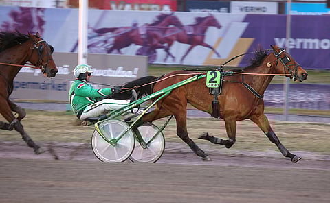 Ray Boy vahvistaa tästä eteenpäin Kari Alapekkalan tallia.