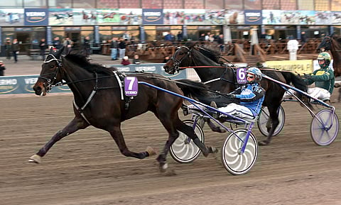 Alice E. voitti kuudesta ensimmäisestä Suomen kilpailustaan neljä. Tuoreimmasta täysosumasta on viisi kuukautta. Torstaina Jokimaalla tammalla on hyvä mahdollisuus palata voittokantaan.