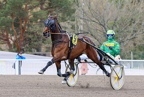 Nemea Iceman on voittanut tällä kaudella viidesti.