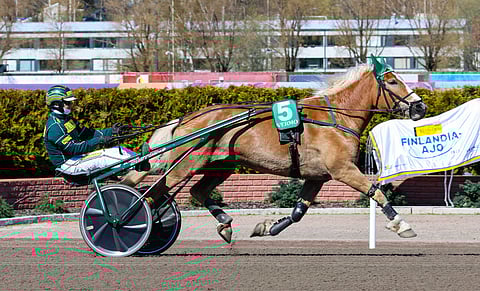 Sirpsakka lähtee Kouvolan kuningatarkilpailuun tavoittelemaan kärkisijoja.