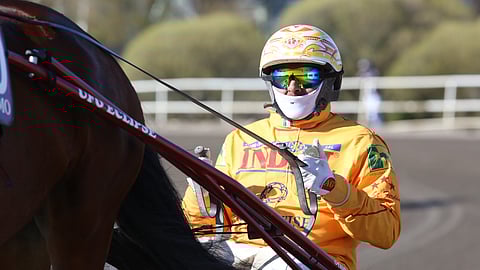 Alessandro Gocciadoron hevosia kilpailee Solvallassa ja Åbyssä.