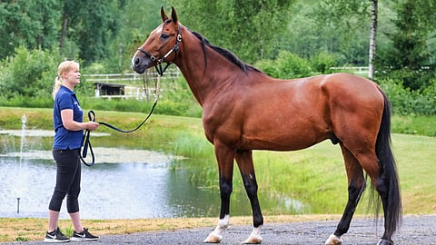 Johanna Kyläkoski esittää Don Williamsia.