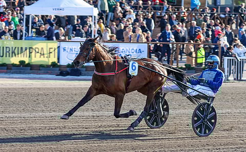 Finlandia-ajossa Hierro Bokoa ohjastanut Jarmo Saarela palaa ruunan rattaille ensi keskiviikkona.