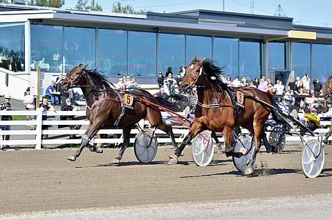 Radetzky (3) piti täpärästi pintansa, kun Armani Press (5) heitti haasteen juuri ennen maalilinjaa.