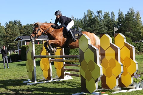 Tosi-Romeo käänsi katseet.