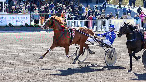 Karelin Avenger oli väkevä voittaja 3-vuotiaiden Seppele-ajossa.