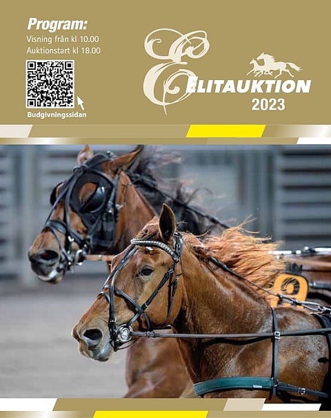 Elitauktionin luettelo on voimassa vielä ensi perjantaina, kun huutokauppa pidetään netissä. Kuva: 