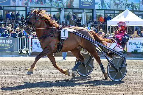 Evartti vei vuosi sitten Erkon Pokaalin nimiinsä. Ori on puolustamassa voittoaan.