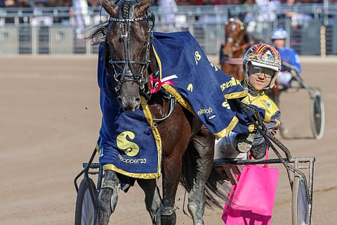 Castor the Star oli onnekas rata-arvonnassa.