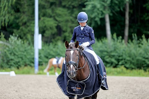 Kulta-ahon Kasimirissa riittää vastusta muille Finnhorse tourin osallistujille. 