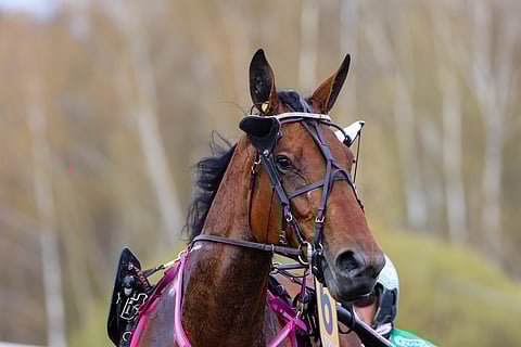 Like Di Serafino aloittaa uusista käsistä.