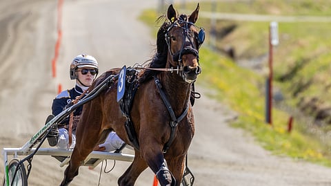 William Way ja Tuukka Varis starttaavat Vermossa kasiradalta. 