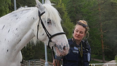 Jenni Ahomäki esitteli Petteri-hevosta Ruskeasuolla. 