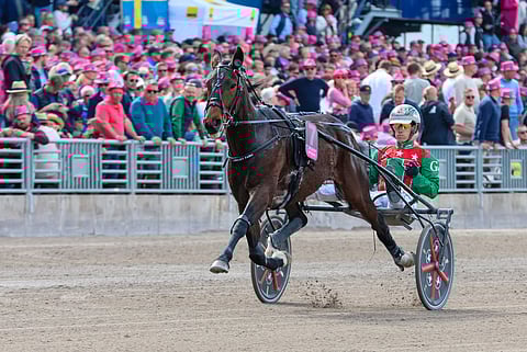 Ravit Australia