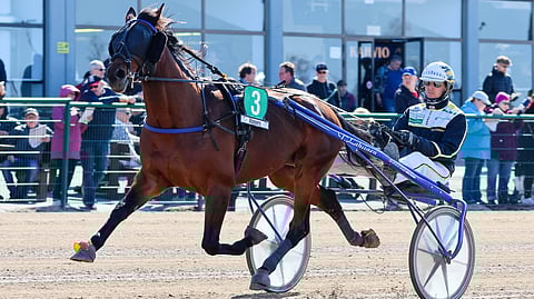 Mountain Wolverine kirii kovaa. Tällä kertaa ehkä jopa avojaoin.