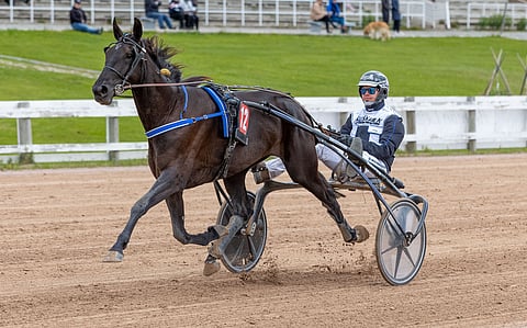 Heikki Mikkosen Rivercapes Frozen on ideavihjeen ensimmäinen tukipilari. Toto65-kohteet ovat Suuren Suomalaisen Derbyn karsintalähtöjä, joista kaksi parasta pääsee ensi viikon lauantaina ajettavaan finaaliin.