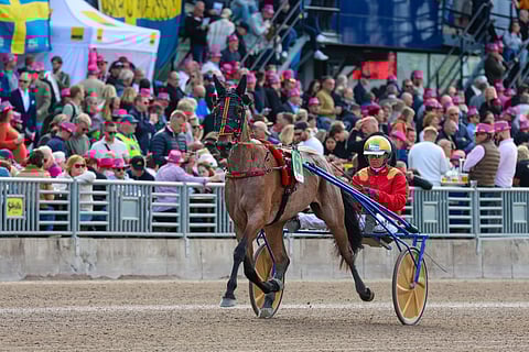 Björn Goopin ajama Jazzy Perrine voitti Jovialityn tammojen nelivuotiseliitissä Solvallassa 2023.