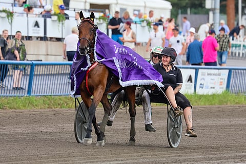 Willow Pride hamuaa jo Pilvenmäeltä jo uransa neljättä voittoa Tammavaltikasta.