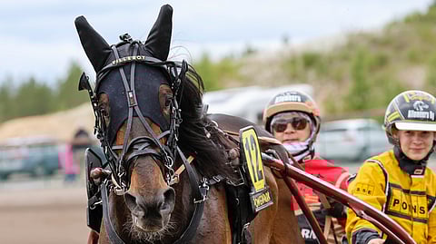 Elina Pakkasen ohjastama Villeroy on ideasysteemin toinen varmoista.