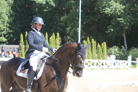 Takapakkia Lammehaven's Zadinin kanssa. 