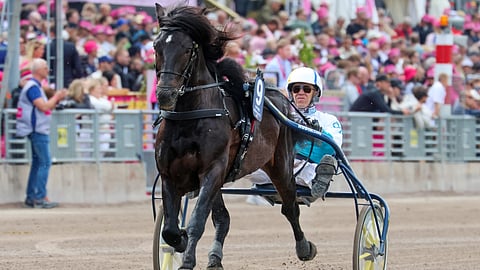 Juhannuksen huippulähdössä arpaonni suosi Jan-Olov Perssonin valmennettavia, Örjan Kihlströmin sijaan Olli Koivusen ajamaa B.W.Sturea sekä Våler Nikolaita.
