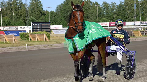 Kinglet Bird aloittaa Daniel Redénin valmennuksesta.