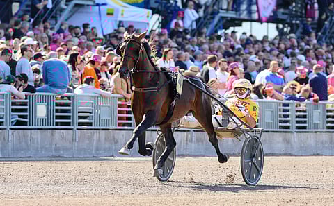 Bengurion Jet Solvallassa. 
