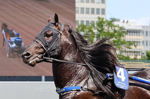 Järvsöodin ravasi Bergsåkerissa Ruotsin mestariksi.